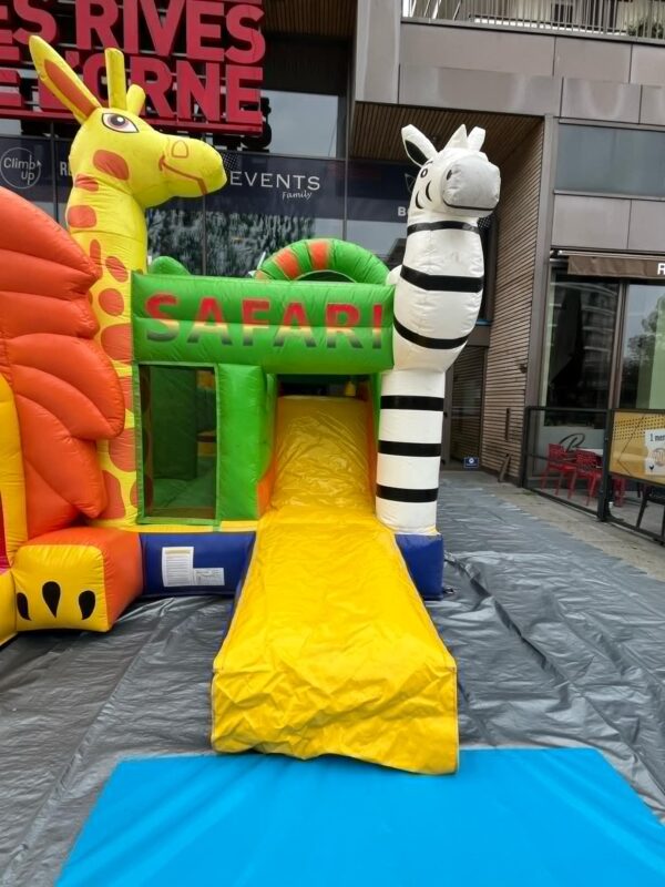 Multiplay Lion – Image 2
