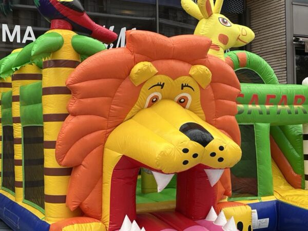 Multiplay Lion – Image 4