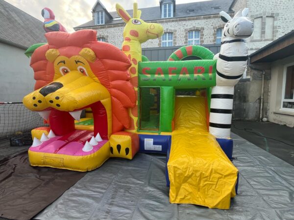 Multiplay Lion – Image 8