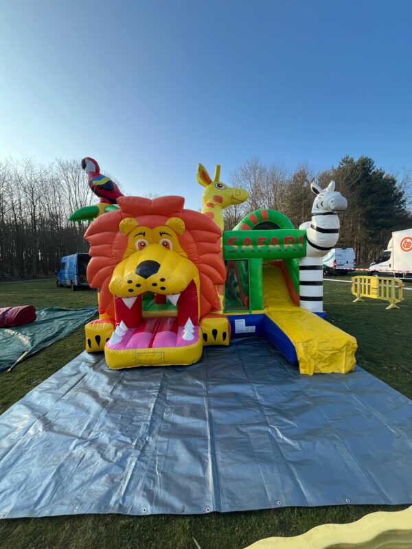 Multiplay Lion – Image 7
