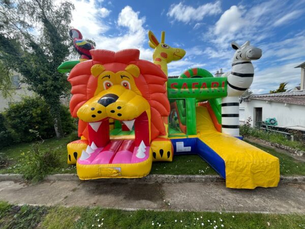 Multiplay Lion