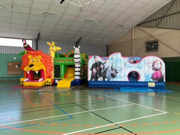 Multiplay Lion – Image 9