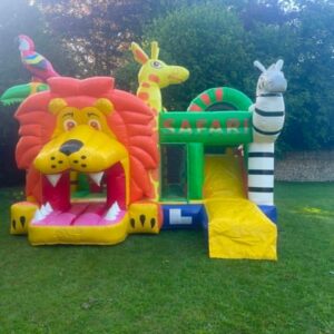 Multiplay Lion